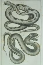 Comte de Lacépède - Œuvres du comte de Lacépède [62 planches