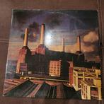 Pink Floyd - Animals - Limited edition Pink vinyl - Diverse, Nieuw in verpakking