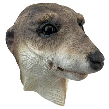 Meerkat/stokstaartje masker beschikbaar voor biedingen