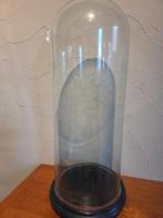 Globe - stolp - antiek - 1901-1920 - Antieke ronde stolp