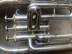 Schenkelaars - Bariton - - Tenortuba - Nederland - 1974, Nieuw