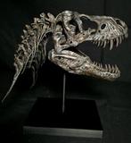 Tyrannosaurus Taxidermie replica montage - Replica T-Rex, Verzamelen