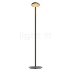 Grau Parrot Batterij Vloerlamp LED, zwart messing, Verzenden, Nieuw