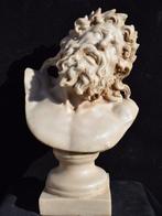 sculptuur, Borstbeeld, sculptuur van Laocoon - 37 cm -