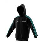Mercedes Official MAPF1 FW Mens DNA FullZip Hoodie XL Black, Nieuw