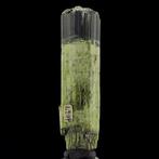 Groene Toermalijn (vezelig en tweemaal beëindigd) - Minas, Verzamelen, Mineralen en Fossielen