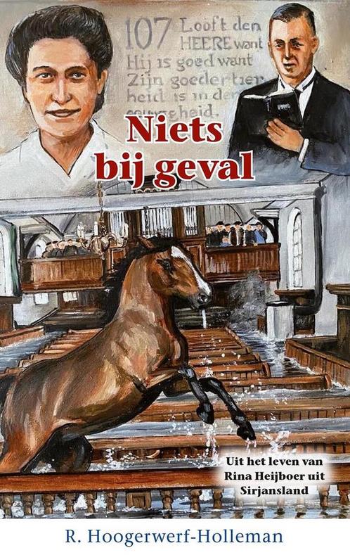 9789461152701 Historische reeks 49 - Niets bij geval, Boeken, Studieboeken en Cursussen, Nieuw, Verzenden