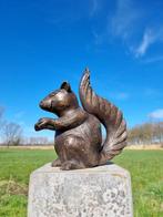 Beeldje - A lifelike bronze squirrel - Brons