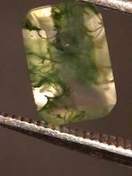 Natural Faceted Agate - Green Moss Agate - 0.485 ct - octago, Verzenden, Nieuw