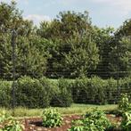 vidaXL Draadgaashek 1,8x25 m gegalvaniseerd staal, Verzenden, Nieuw, IJzer, Minder dan 1 meter