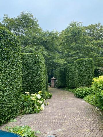 Tuinonderhoud Noord-Holland Hoveniersbedrijf Tuinenkapper beschikbaar voor biedingen