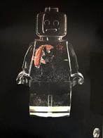 Vincent Sabatier (1971) - Robotclusion carpe koï