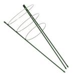 Plantensteun | Nature | 60 centimeter, Tuin en Terras, Verzenden