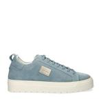 Antony Morato Metal Bold lage sneakers voor heren, Kleding | Heren, Schoenen, Antony Morato, Nieuw, Sneakers of Gympen, Verzenden