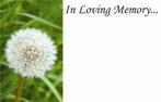 Condoleancekaart in loving memory paardenbloem lovin, Ophalen of Verzenden, Nieuw