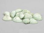 Tiger Chippy schelpen groen, 500 gram, Ophalen of Verzenden, Nieuw