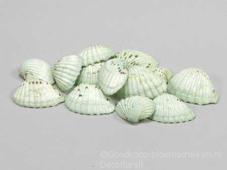 Tiger Chippy schelpen groen, 500 gram, Hobby en Vrije tijd, Knutselen, Nieuw, Ophalen of Verzenden