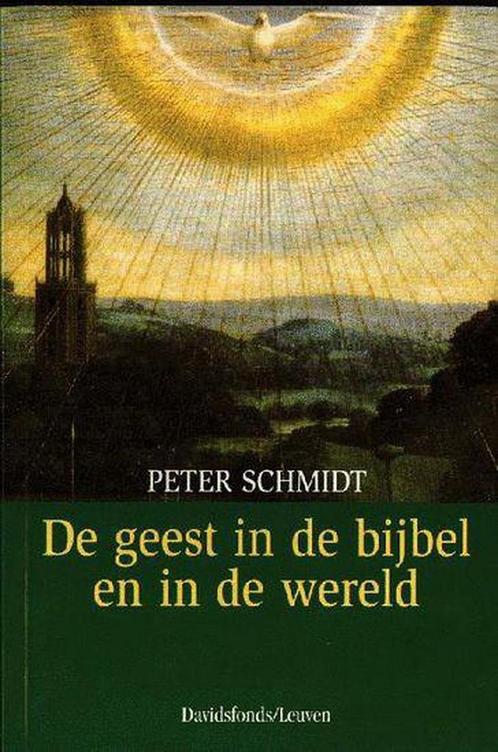 De geest in de bijbel en in de wereld / Omegareeks / 16, Boeken, Godsdienst en Theologie, Zo goed als nieuw, Verzenden