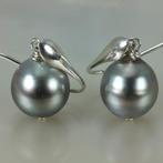 Oorbellen Zilver Parel - Tahiti DR Ø 13x14 mm, Nieuw