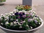 Grote ronde bloembak - plantenbak - plantenschaal, Tuin en Terras, Bloembakken en Plantenbakken, Nieuw, Beton, Tuin, Rond