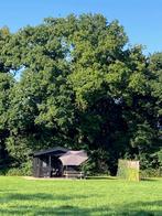 vakantiehuisje te huur, 2 + 2, zomeraanbieding €700/ week, Airconditioning, Overige typen, Overijssel, Landelijk