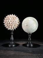 Decoratief ornament - NO RESERVE PRICE - Wonderful Pair of