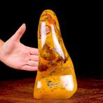 Natuurlijke Pompoenjasper - Polychroom Jaspis – De Kunst van, Verzamelen, Mineralen en Fossielen