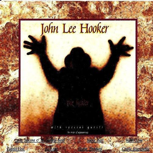 cd - John Lee Hooker - Healer, Cd's en Dvd's, Cd's | Overige Cd's, Zo goed als nieuw, Verzenden