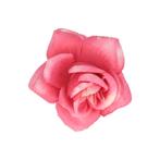 Haarspeld Duckklem 5cm – Haarbloem Roos – Roze, Sieraden, Tassen en Uiterlijk, Uiterlijk | Haarverzorging, Nieuw