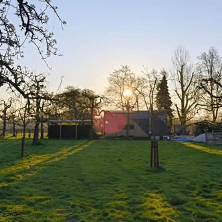 huis in Vianen gevonden voor €1000,- pm, Huizen en Kamers, Huizen te koop