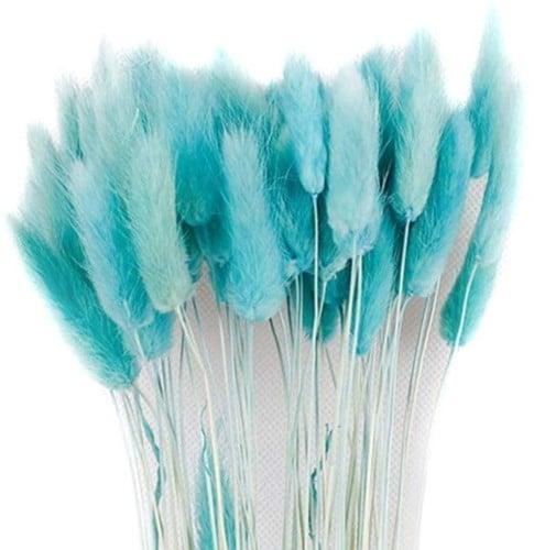 Lagurus ovatus pluimgras graspluimen in hoes gepreserveerd, Huis en Inrichting, Woonaccessoires | Kunstplanten en Kunstbloemen