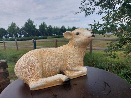 Beeld, life size and a lifelike (Texel lamb) - 32 cm -, Antiek en Kunst, Kunst | Designobjecten