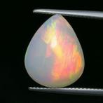 Opaal - 8.22 ct - Instituto Gemólogico Español (IGE) -, Sieraden, Tassen en Uiterlijk, Edelstenen, Nieuw