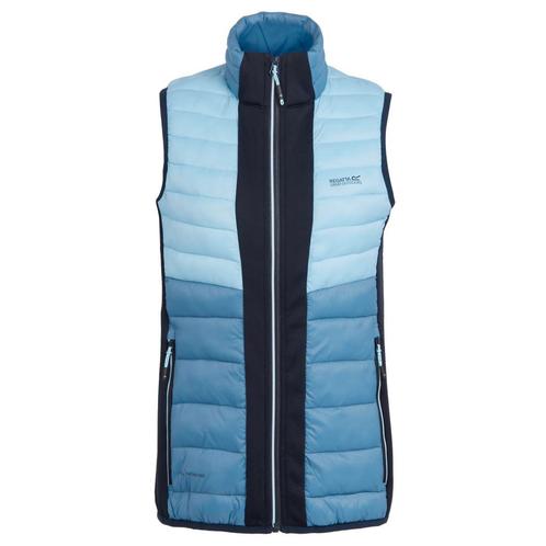 -11% Regatta  Regatta Dames leedre bodywarmer  maat 38, Kleding | Dames, Bodywarmers, Blauw, Nieuw, Verzenden