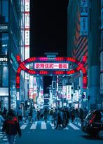 Dominik Valvo - Kabukicho Fever (Japan 2023) XL, Antiek en Kunst