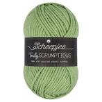 Scheepjes Truly Scrumptious - 318 Pistachio Bundt Cake - G, Ophalen of Verzenden, Nieuw