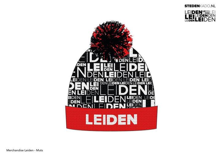 PARTIJ WINTERMUTSEN LEIDEN, Kleding | Dames, Mutsen, Sjaals en Handschoenen, Nieuw, Verzenden