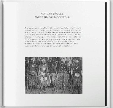 schedel - Atoni Timor - Indonesië, Antiek en Kunst, Kunst | Niet-Westerse kunst
