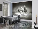 Paarden behang Paarden fotobehang Zwart/wit * Vliesbehang, Minder dan 10 m², Ophalen of Verzenden, Paarden