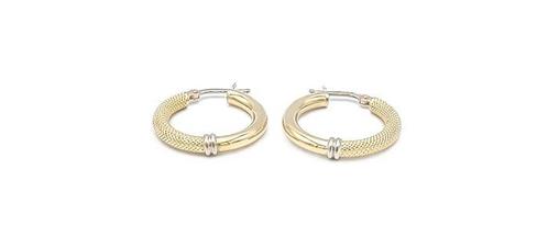 Hoepel oorbellen - 18 karaat Geel goud, Witgoud, Sieraden, Tassen en Uiterlijk, Antieke sieraden