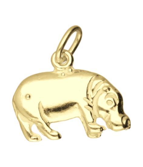 Gouden Nijlpaard ketting hanger, Sieraden, Tassen en Uiterlijk, Kettinghangers, Verzenden