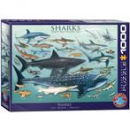 Sharks Puzzel (1000 stukjes) | Eurographics - Puzzels, Hobby en Vrije tijd, Denksport en Puzzels, Nieuw, Verzenden