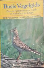 Basis vogelgids 9789051210088 Alwine de Jong, Boeken, Verzenden, Gelezen, Alwine de Jong