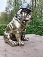 Beeld, English bulldog with gold dollar chain - 36 cm -