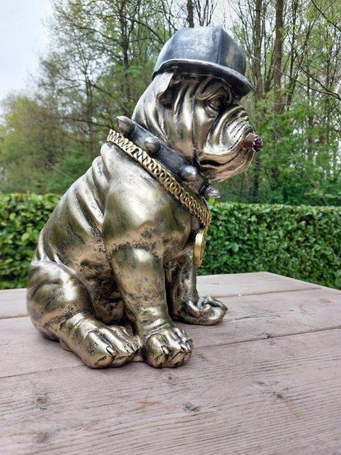 Beeld, English bulldog with gold dollar chain - 36 cm -, Antiek en Kunst, Curiosa en Brocante