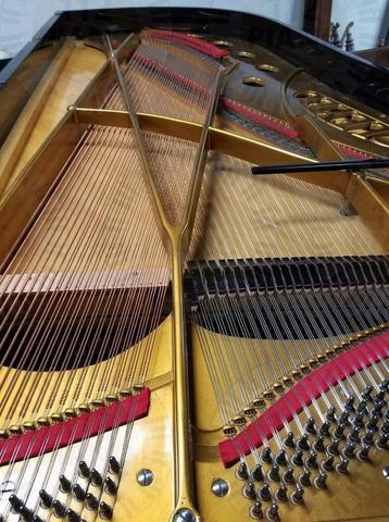 Gratis piano of vleugel laten inspecteren!? beschikbaar voor biedingen