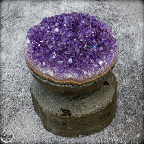 Topkwaliteit amethist- cluster op natuurlijke ondergrond, Verzamelen, Mineralen en Fossielen