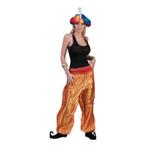 Gouden 1001 nacht broek voor dames - 1001 nacht kleding, Kleding | Dames, Ophalen of Verzenden, Nieuw