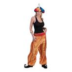 Gouden 1001 nacht broek voor dames - 1001 nacht kleding, Kleding | Dames, Nieuw, Ophalen of Verzenden