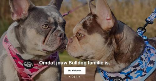 De grootste  Franse Bulldog webshop van Nederland!, Dieren en Toebehoren, Honden | Bulldogs, Pinschers en Molossers, Meerdere